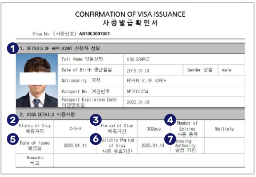 Visa sample